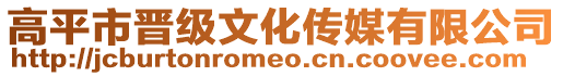 高平市晉級文化傳媒有限公司