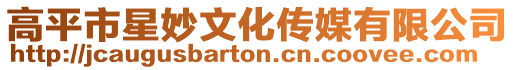 高平市星妙文化傳媒有限公司
