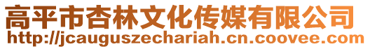 高平市杏林文化傳媒有限公司