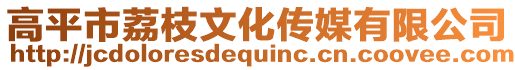 高平市荔枝文化傳媒有限公司