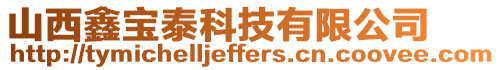 山西鑫寶泰科技有限公司