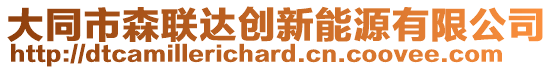 大同市森聯(lián)達(dá)創(chuàng)新能源有限公司