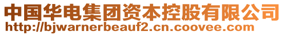 中國(guó)華電集團(tuán)資本控股有限公司