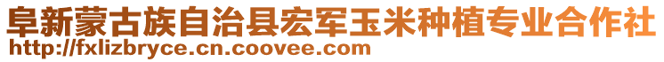 阜新蒙古族自治縣宏軍玉米種植專業(yè)合作社