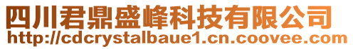 四川君鼎盛峰科技有限公司