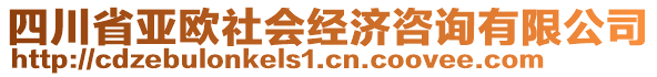 四川省亞歐社會經濟咨詢有限公司