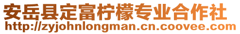 安岳縣定富檸檬專業(yè)合作社