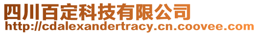 四川百定科技有限公司