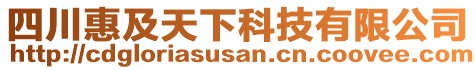 四川惠及天下科技有限公司