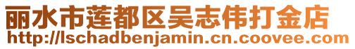 麗水市蓮都區吳志偉打金店