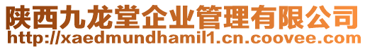 陜西九龍堂企業管理有限公司