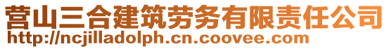 營山三合建筑勞務(wù)有限責(zé)任公司