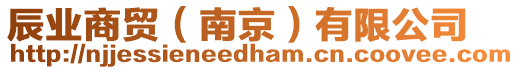 辰業(yè)商貿(mào)（南京）有限公司