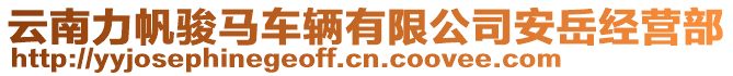 云南力帆駿馬車輛有限公司安岳經(jīng)營部