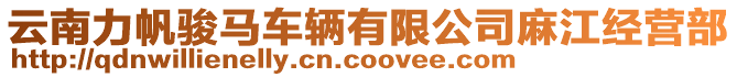 云南力帆駿馬車輛有限公司麻江經(jīng)營部