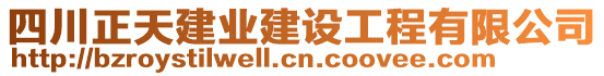 四川正天建業(yè)建設(shè)工程有限公司