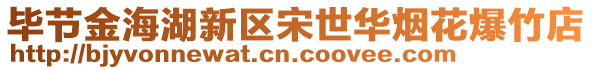 畢節金海湖新區宋世華煙花爆竹店