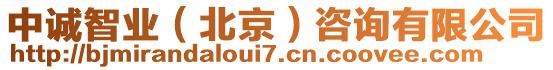 中誠(chéng)智業(yè)（北京）咨詢有限公司