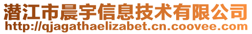 潛江市晨宇信息技術(shù)有限公司