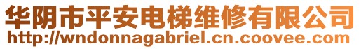 華陰市平安電梯維修有限公司