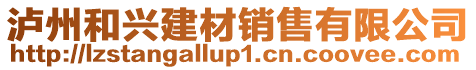 瀘州和興建材銷售有限公司