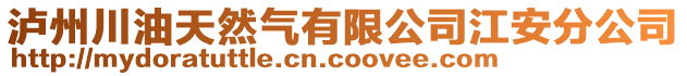 瀘州川油天然氣有限公司江安分公司