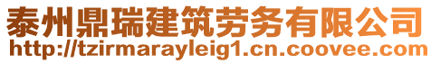 泰州鼎瑞建筑勞務(wù)有限公司