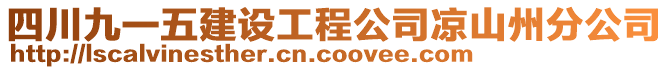 四川九一五建設工程公司涼山州分公司