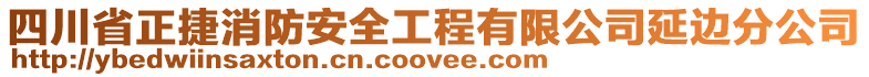 四川省正捷消防安全工程有限公司延邊分公司