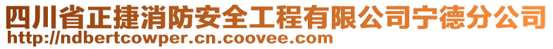 四川省正捷消防安全工程有限公司寧德分公司