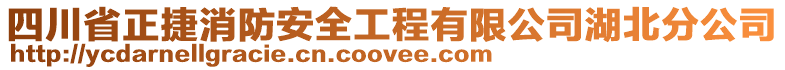 四川省正捷消防安全工程有限公司湖北分公司