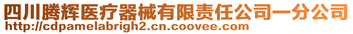 四川騰輝醫(yī)療器械有限責(zé)任公司一分公司