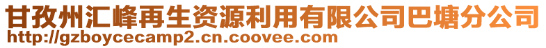 甘孜州匯峰再生資源利用有限公司巴塘分公司