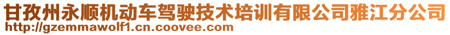 甘孜州永顺机动车驾驶技术培训有限公司雅江分公司