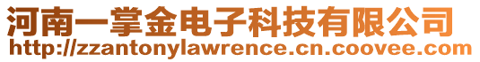 河南一掌金電子科技有限公司