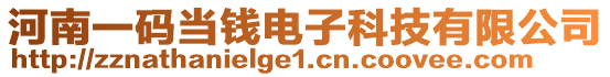 河南一碼當(dāng)錢電子科技有限公司