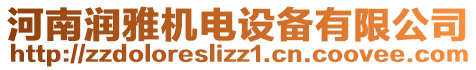 河南潤雅機電設備有限公司