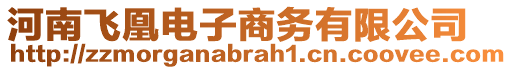 河南飛凰電子商務(wù)有限公司