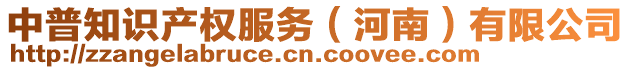 中普知識產(chǎn)權(quán)服務(wù)（河南）有限公司