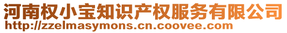 河南權(quán)小寶知識(shí)產(chǎn)權(quán)服務(wù)有限公司