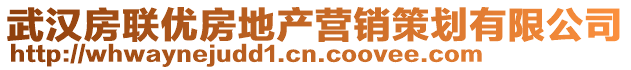 武漢房聯(lián)優(yōu)房地產營銷策劃有限公司