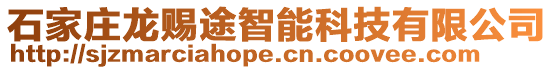 石家莊龍賜途智能科技有限公司