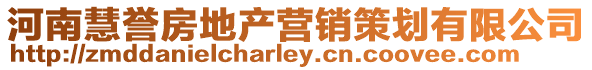 河南慧譽房地產營銷策劃有限公司