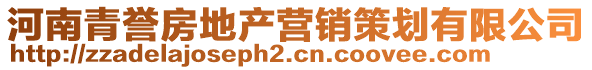 河南青譽(yù)房地產(chǎn)營(yíng)銷策劃有限公司