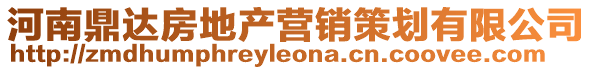 河南鼎達房地產營銷策劃有限公司