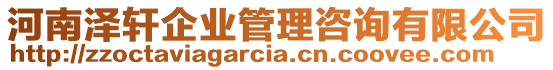 河南澤軒企業(yè)管理咨詢有限公司