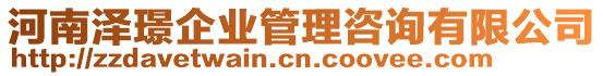 河南澤璟企業(yè)管理咨詢有限公司