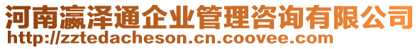 河南瀛澤通企業(yè)管理咨詢有限公司