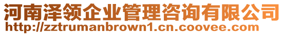 河南澤領(lǐng)企業(yè)管理咨詢有限公司