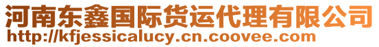 河南東鑫國(guó)際貨運(yùn)代理有限公司